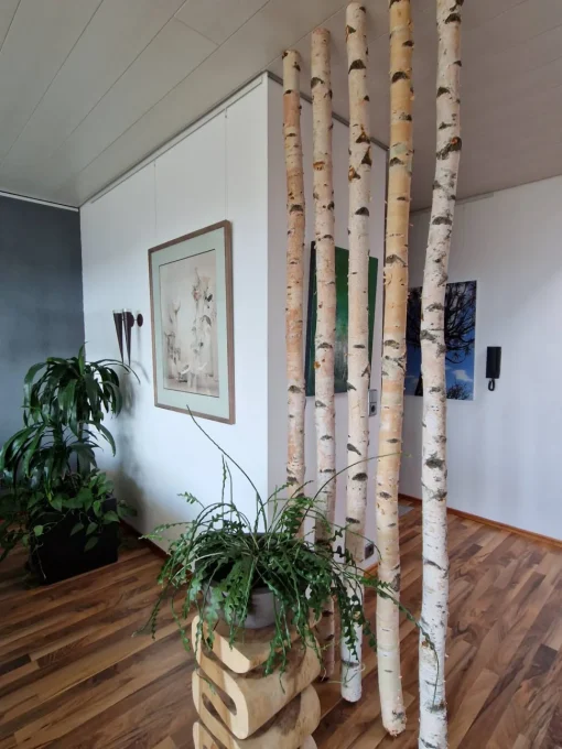 Birkenstamm mit Stellfuß | Länge ab 200 cm
