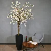 Blütenbaum Chloë mit Topf | Weiß mit einem Hauch von Rosa mit grünem Blatt | 200 cm