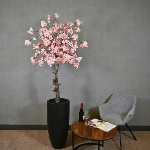 Blütenbaum Claire mit Topf | Rosa | 200 cm
