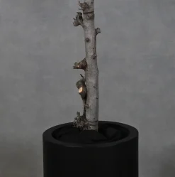 Blütenbaum Gaia mit Topf | Weiß | 200 cm