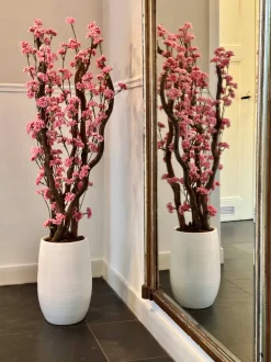 Blütenbaum Livia mit Topf | Leuchtend rosa | Groß | 150 cm