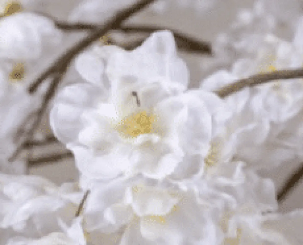 Blütenbaum Nine mit Topf | Weiß | Groß | 150 cm