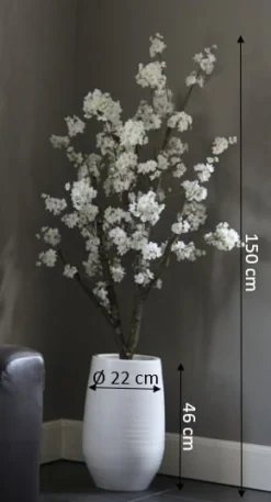 Blütenbaum Nine mit Topf | Weiß | Mittel | 150 cm