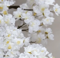 Blütenbaum Nine mit Topf | Weiß | Mittel | 150 cm