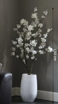 Blütenbaum Nine ohne Topf | Weiß | Mittel | 150 cm