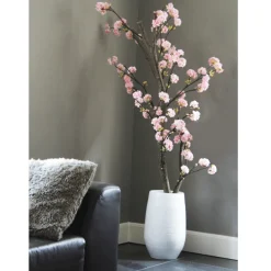 Blütenbaum Suze mit Topf | Rosa | Mittel | 150 cm