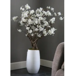 Blütenstrauch Elody mit Topf | Weiß | 140 cm
