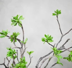 Blumengesteck Lina | 80 cm