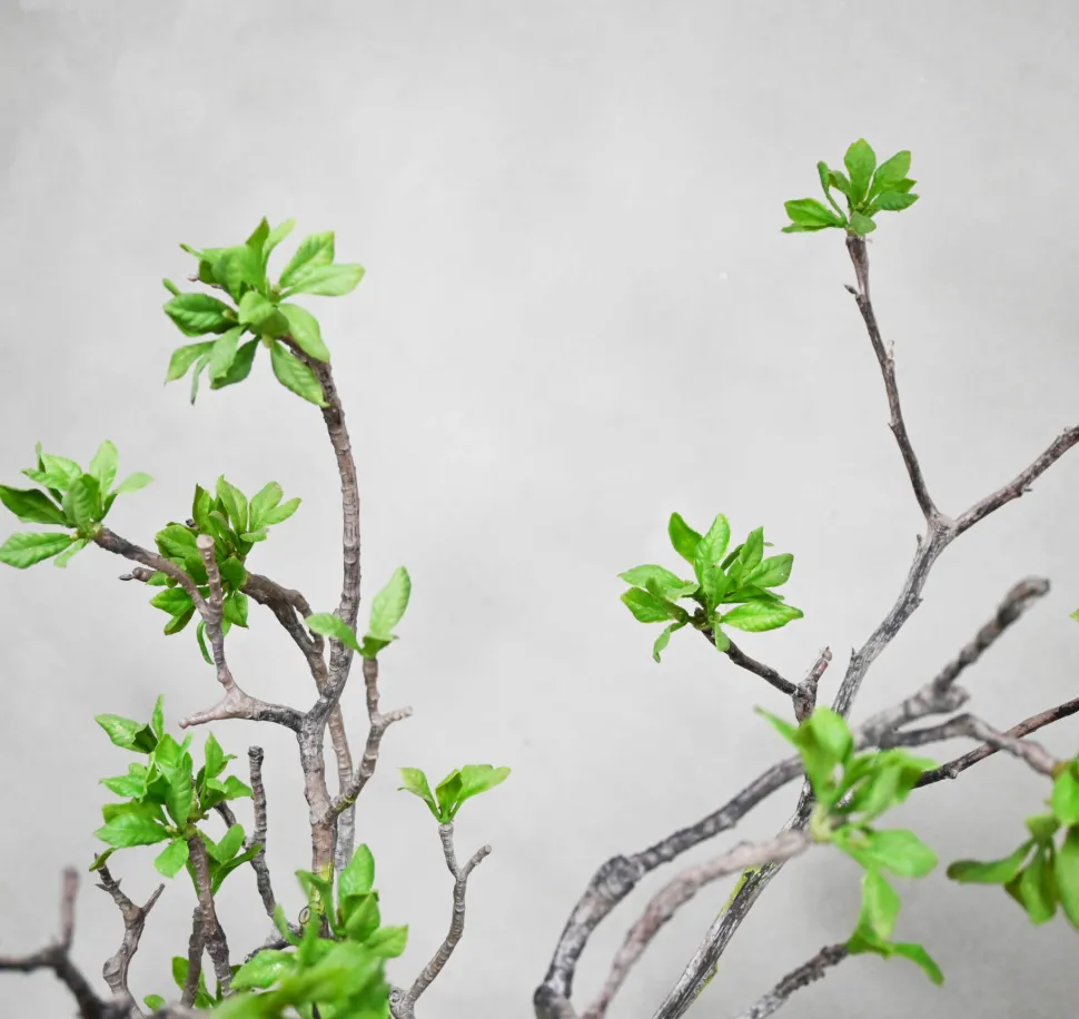 Blumengesteck Lina | 80 cm