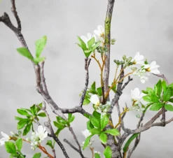 Blumengesteck Maya | 80 cm