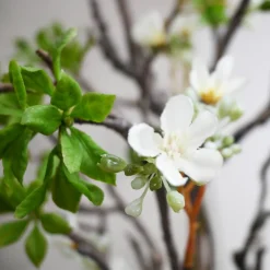 Blumengesteck Maya | 80 cm