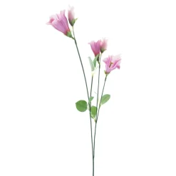 Campanula-Seidenblume | Rosa | 65 cm