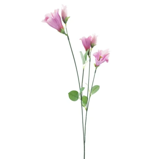 Campanula-Seidenblume | Rosa | 65 cm