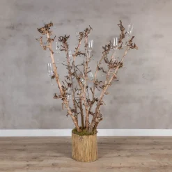 Champagnerbaum mit sieben Birnenzweigen | 150 cm