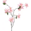 Clematis-Seidenblume | Rosa | 85 cm