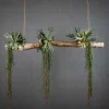 Deko-Ast | Alterosa | 150 cm