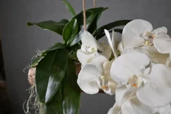 Deko-Ast | Alvorada | 150 cm