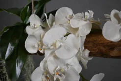 Deko-Ast | Alvorada | 150 cm