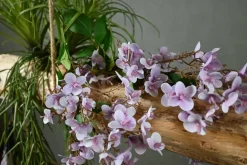 Deko-Ast | Amarant | 150 cm