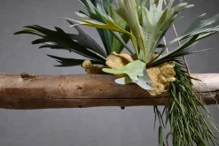 Deko-Ast | Amargosa | 150 cm