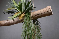 Deko-Ast | Amargosa | 150 cm