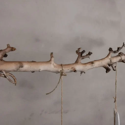 Deko-Ast | Birne | Sandgestrahlt | 80 cm