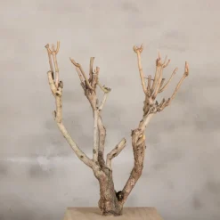 Dekobaum klein | 50-60 cm