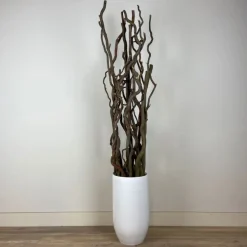 Deko-Set | Korkenzieheräste | 160 cm