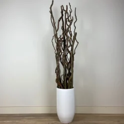 Deko-Set mit Vase | Korkenzieheräste | 160 cm
