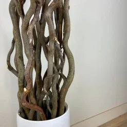 Deko-Set mit Vase | Korkenzieheräste | 160 cm