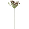Dillblüte künstlich | Burgunderrot-Grün-Weiß | 50 cm