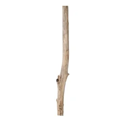 Eichenstamm | Länge 175–300cm | Ø 7-8cm