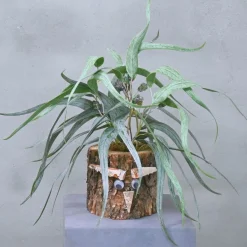 Eichenstämmchen | Weidenruhe | 30 cm