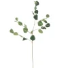 Eukalyptuszweig | Grün | 85cm