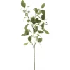 Eukalyptuszweig Blüten | 115cm