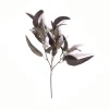 Eukalyptuszweig Schmal | Aubergine | 60cm