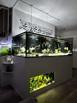 Fliederäste | 60-70cm