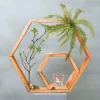 Hexa | Urban Jungle | 50cm