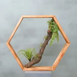 Hexa | Waldgrün | 50 cm