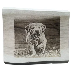 Holzplanke – Personalisiertes Foto/Text – 25cm