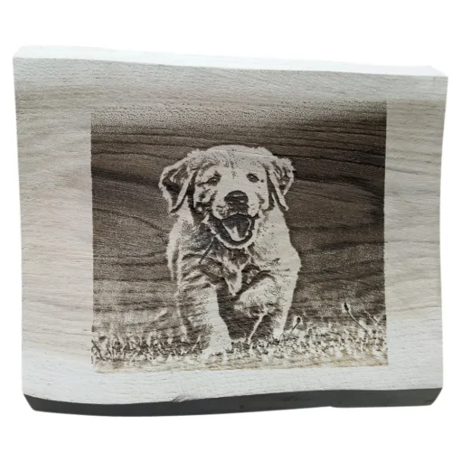 Holzplanke – Personalisiertes Foto/Text – 25cm