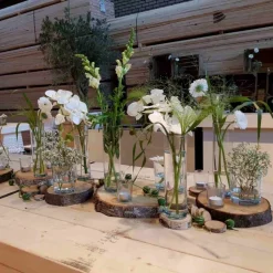 Holzscheibe | Naturbelassen | 30cm