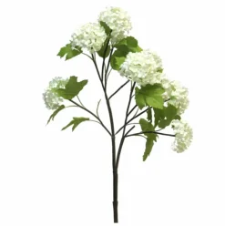 Hortensie | Creme | 75cm