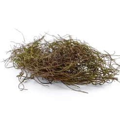 Künstliche braune Zweige mit Moos