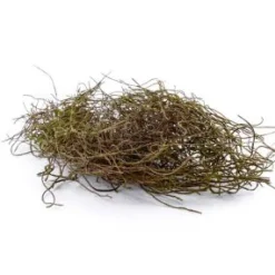 Künstliche braune Zweige mit Moos