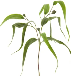 Künstlicher Trauerweidenzweig | 80 cm