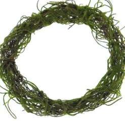 Künstlicher Zweigekranz | Moos | 15cm