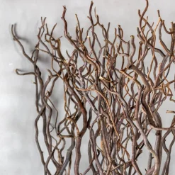 Korkenzieherweide-Raumteiler Ture | Mit Naturbelassenem Fuß | H165cm