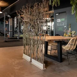 Korkenzieherweide-Raumteiler Ture | Mit Naturbelassenem Fuß | H165cm