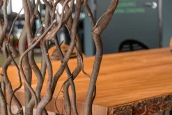 Korkenzieherweide-Raumteiler Ture | Mit Naturbelassenem Fuß | H165cm